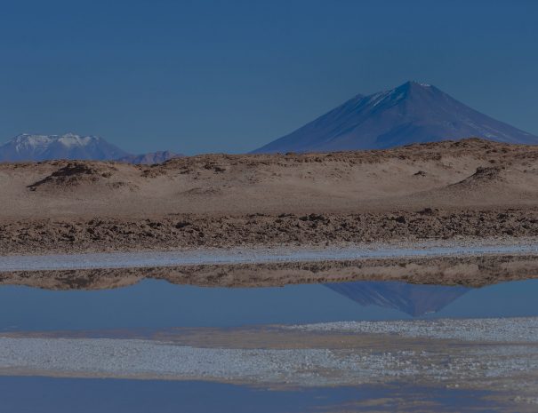 La Puna Argentina